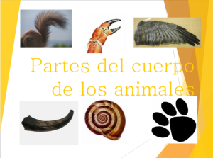 Partes del cuerpo de los animales